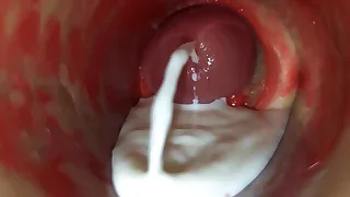 Sex Gay Porn 27